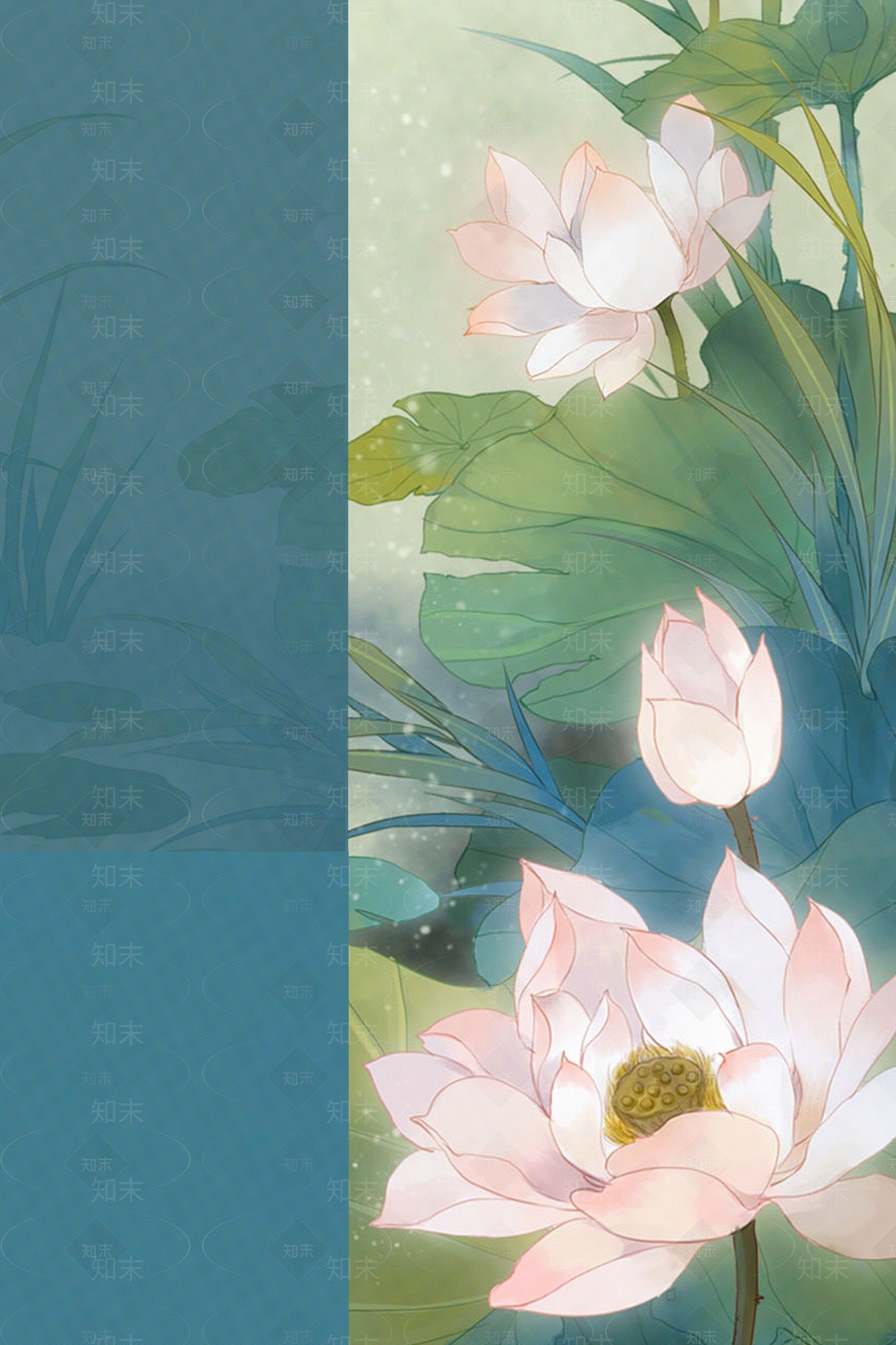 插画风荷花贴图下载【ID:1160017229】