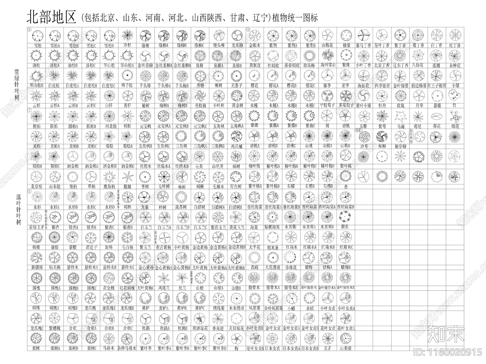 北部植物平面图块施工图下载【ID:1160020915】