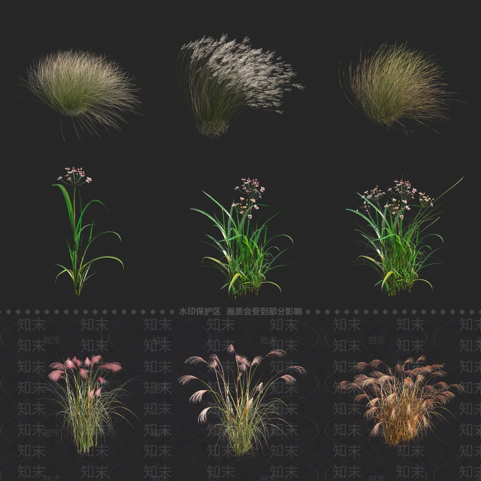 细叶针茅草3D模型下载【ID:1160028084】