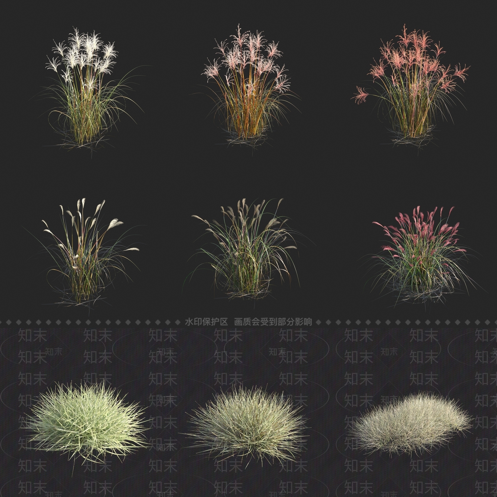 茅草3D模型下载【ID:1160028314】