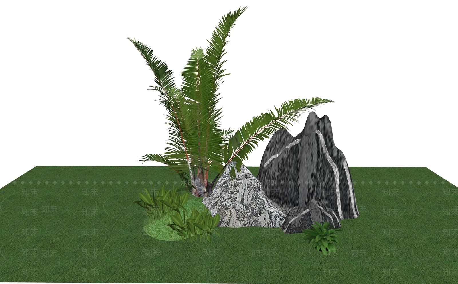 造型苏铁SU模型下载【ID:1160048304】