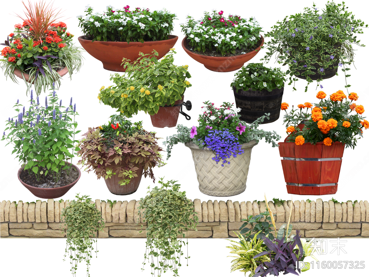 盆栽花卉植物PSD免抠下载【ID:1160057325】undefined