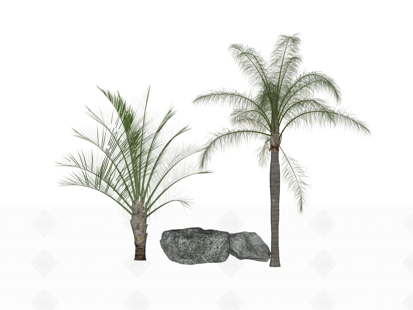 热带植物棕榈椰子树组合SU模型下载【ID:1160073182】