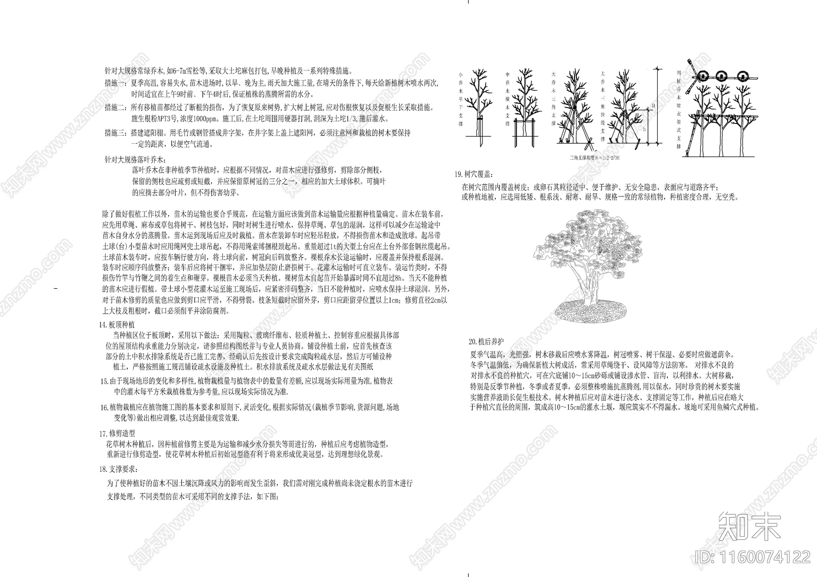 说明加苗木表加选型cad施工图下载【ID:1160074122】