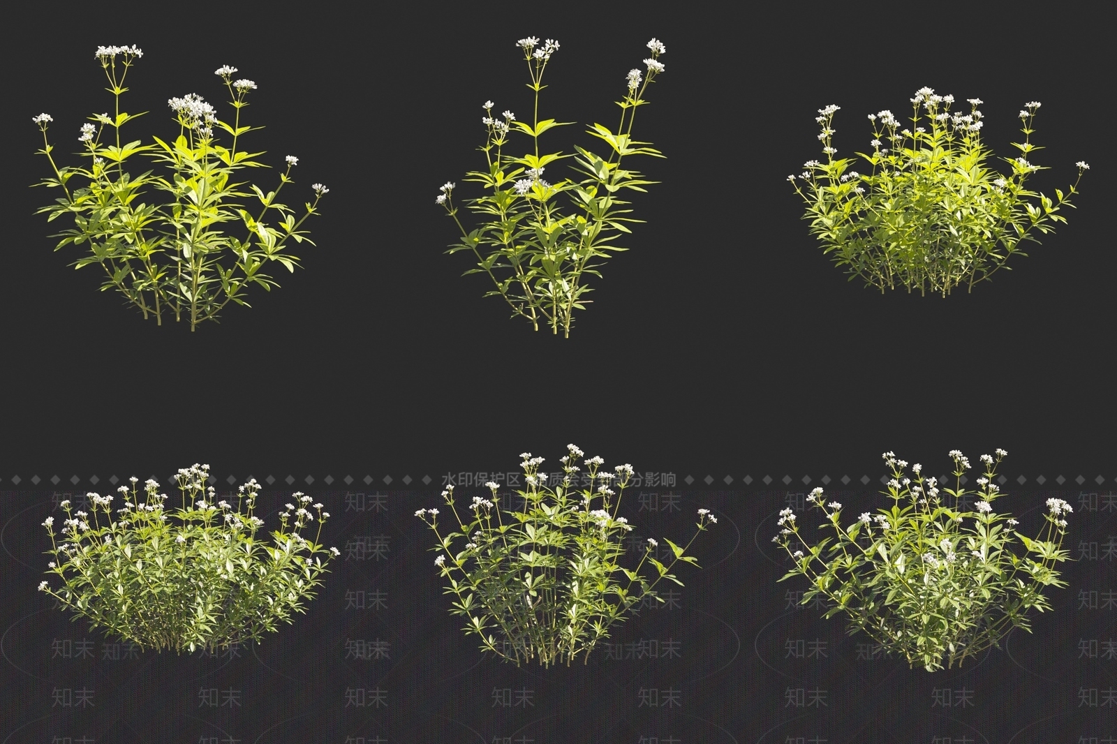 车轴草3D模型下载【ID:1160103226】