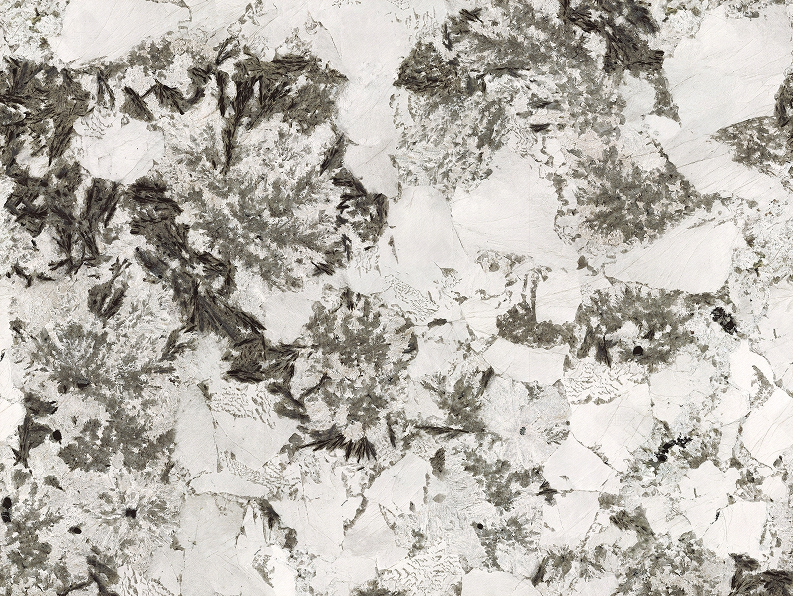 雪山银狐白色大理石岩钣背景墙贴图下载【ID:1160106524】