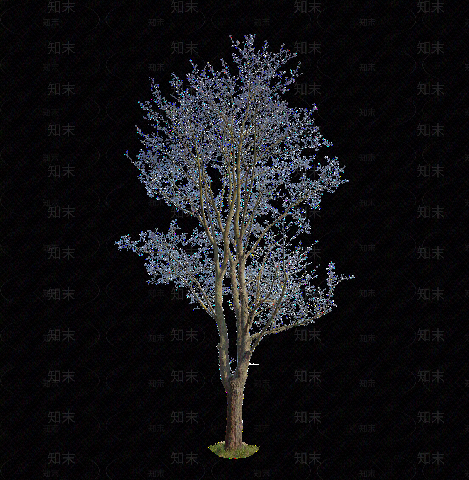 png免抠室外景观乔木枯树落叶树植物贴图下载【ID:1160136438】