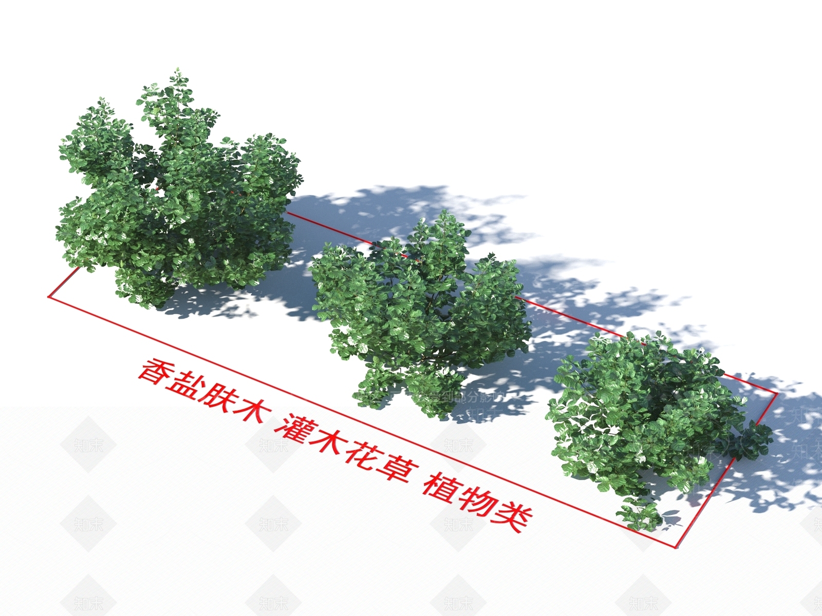香盐肤木3D模型下载【ID:1160140306】