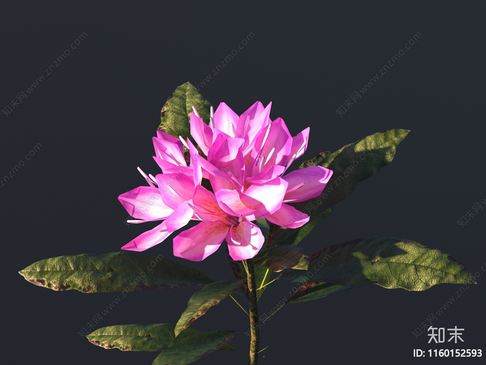 花3D模型下载【ID:1160152593】