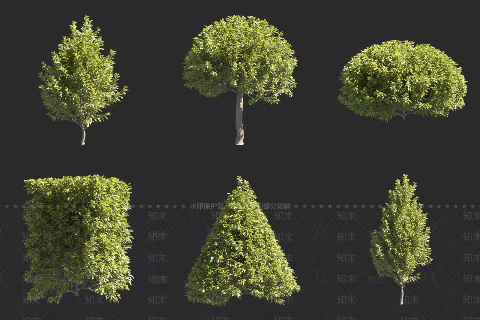 月桂3D模型下载【ID:1160202342】