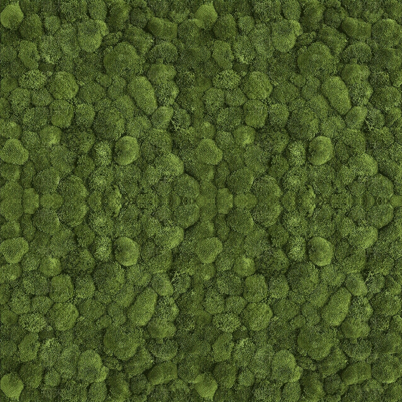 永生苔藓贴图下载【ID:1160246279】