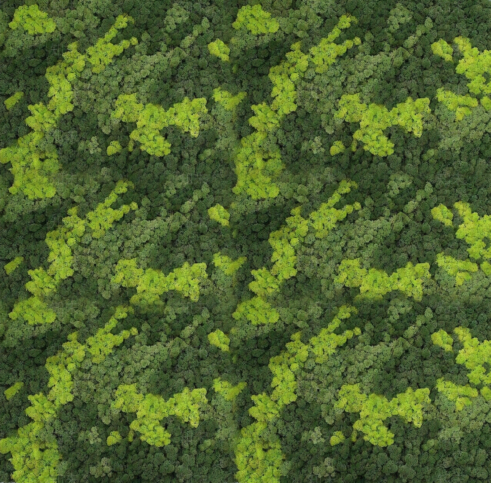 永生苔藓贴图下载【ID:1160246662】