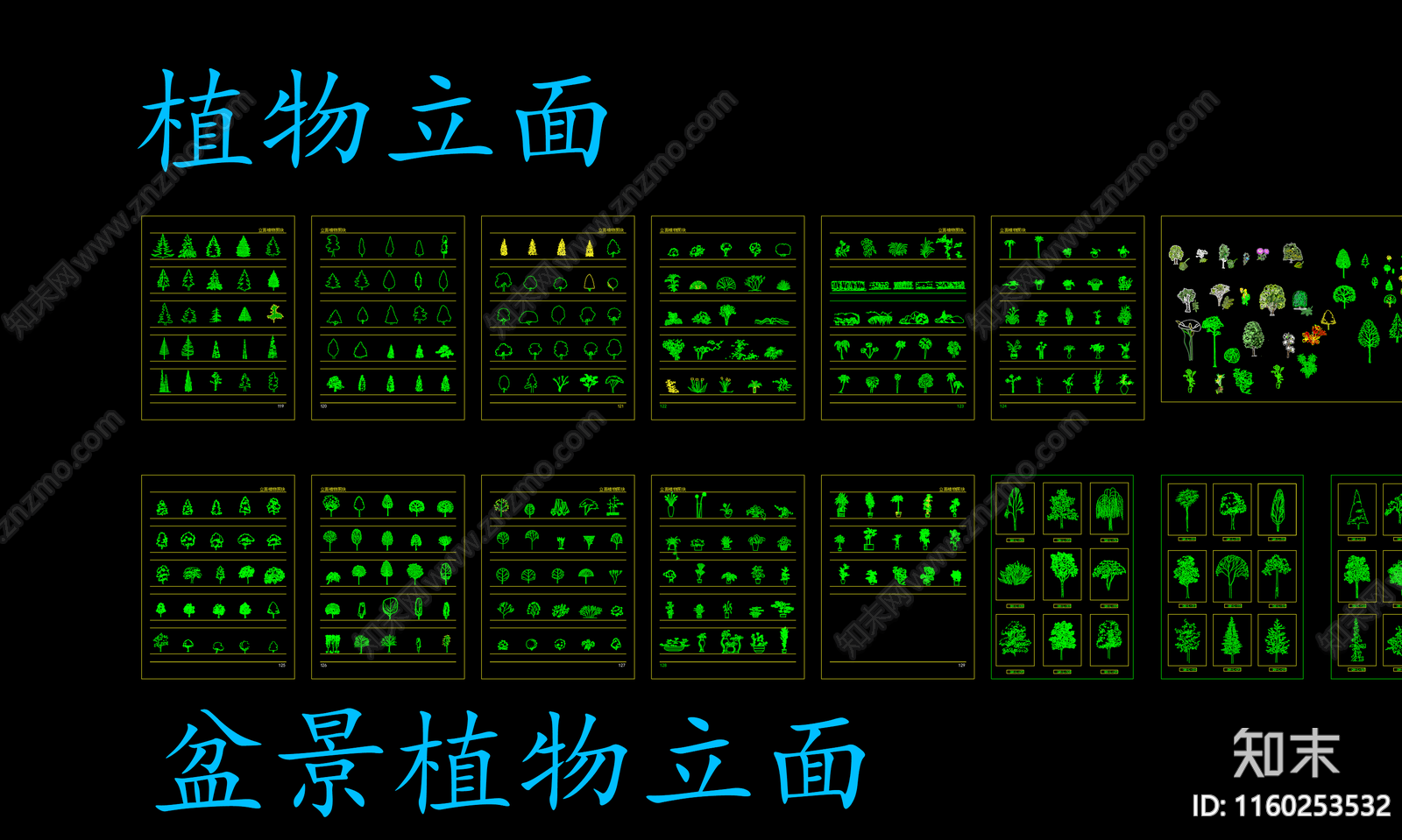 园林景观植物立面图例施工图下载【ID:1160253532】