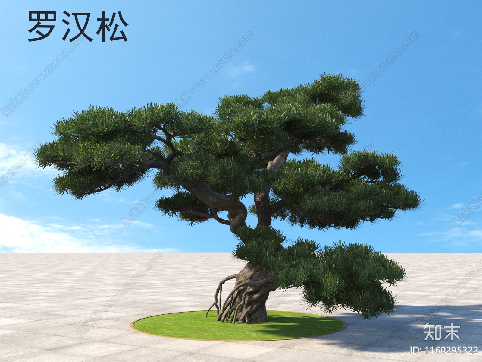 罗汉松3D模型下载【ID:1160295322】