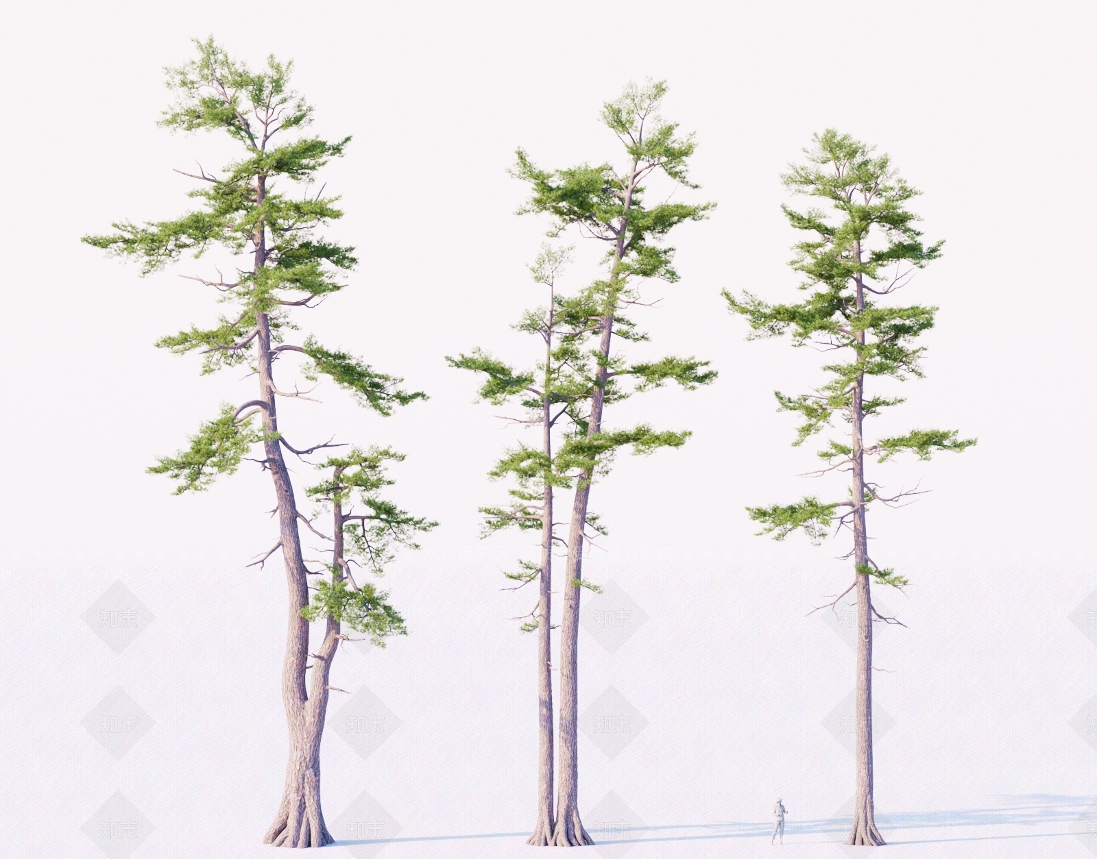 乔木3D模型下载【ID:1160301250】