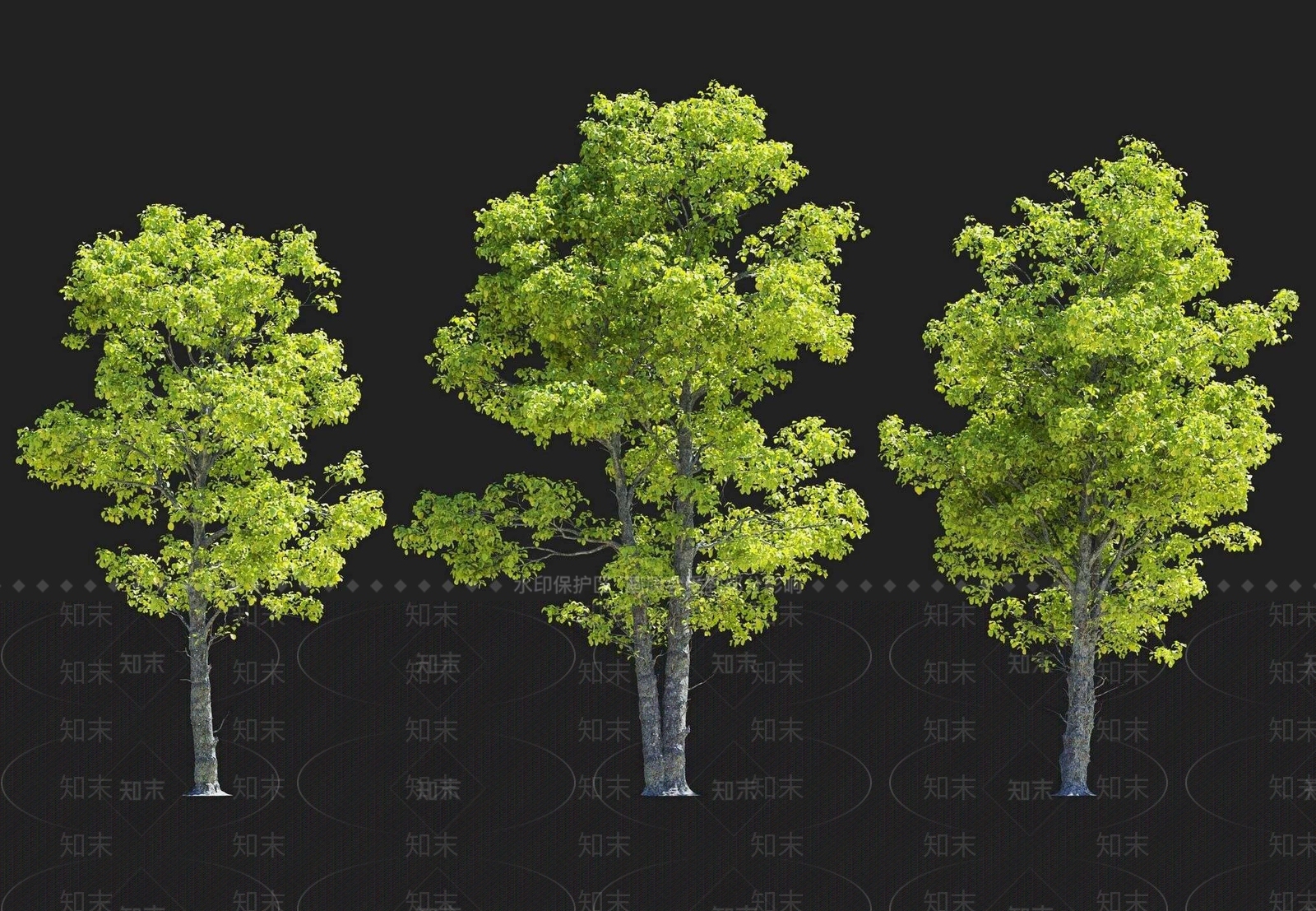 乔木3D模型下载【ID:1160301728】