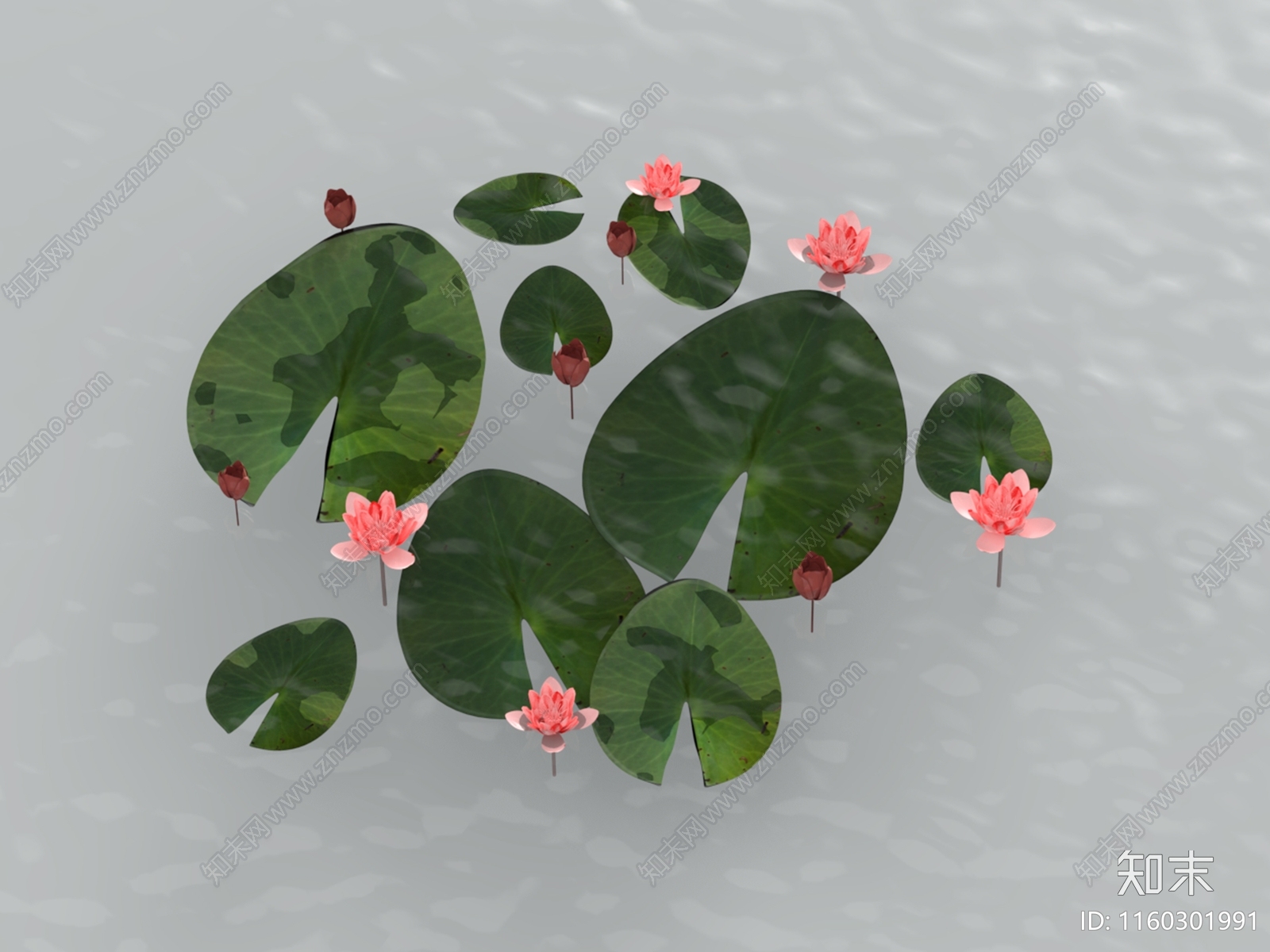 荷花3D模型下载【ID:1160301991】