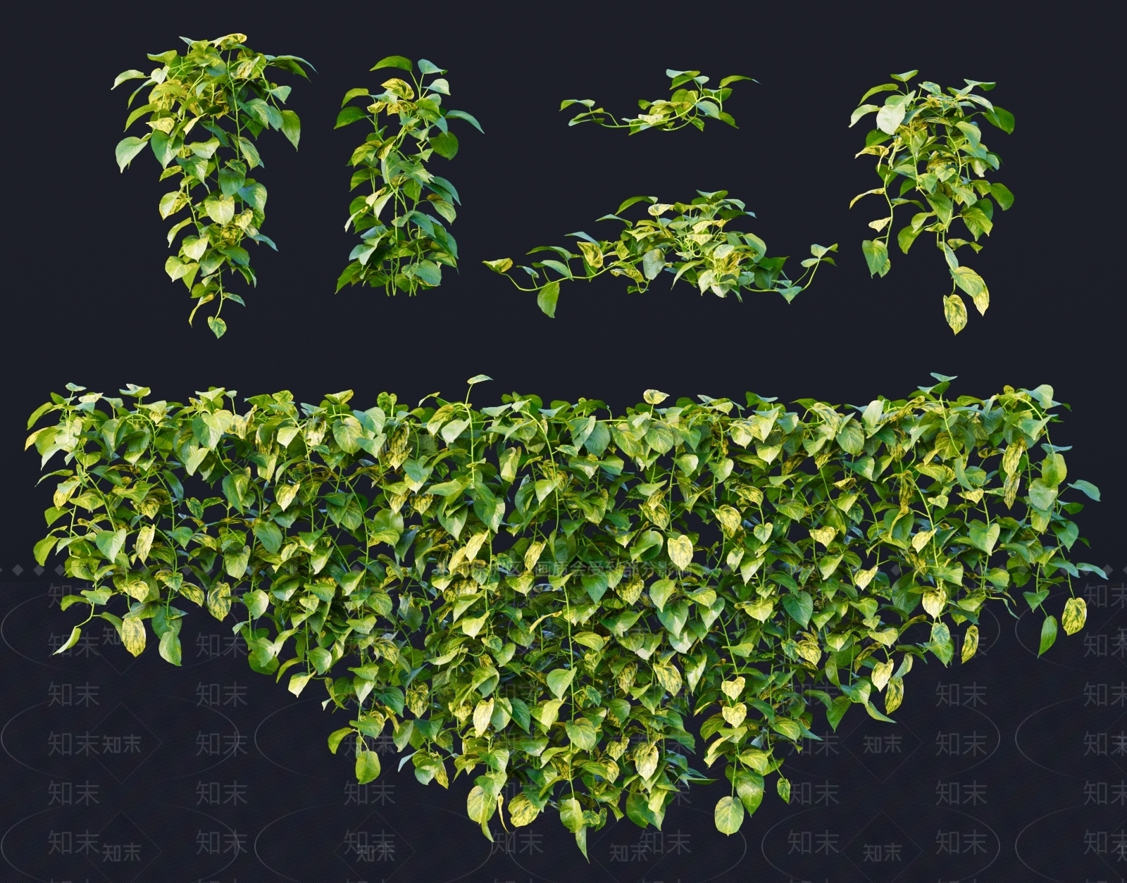 现代藤蔓3D模型下载【ID:1160311466】