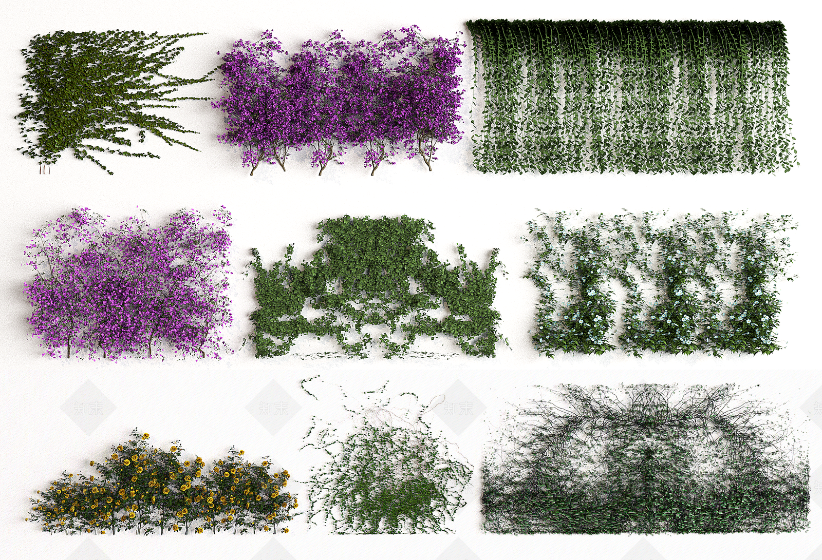 攀爬植物SU模型下载【ID:1160323597】
