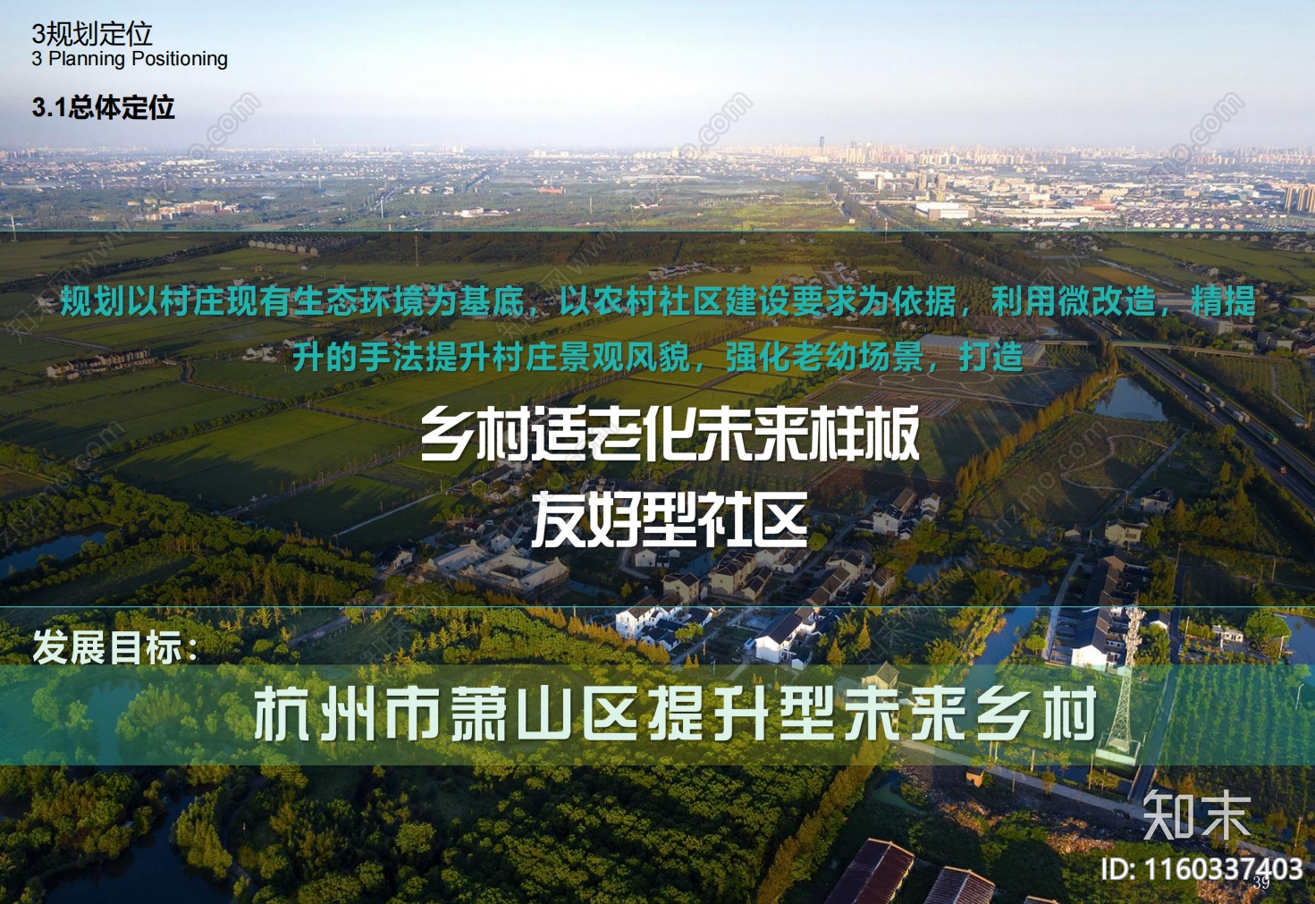 现代杭州萧山靖东村未来乡村建设实施方案文本下载【ID:1160337403】