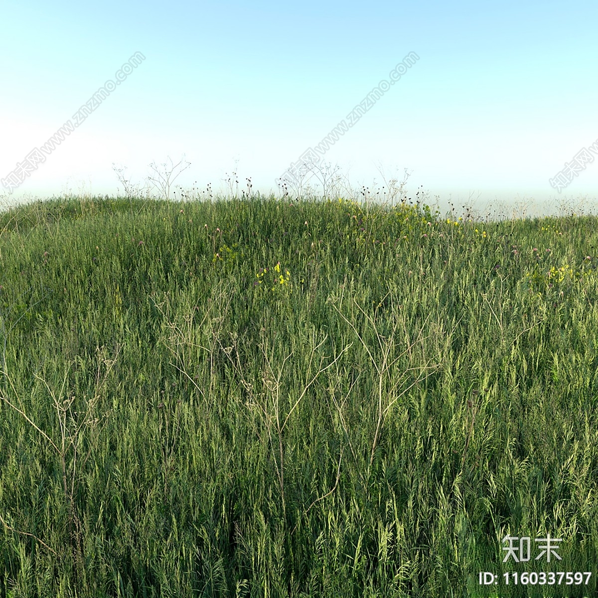 草3D模型下载【ID:1160337597】