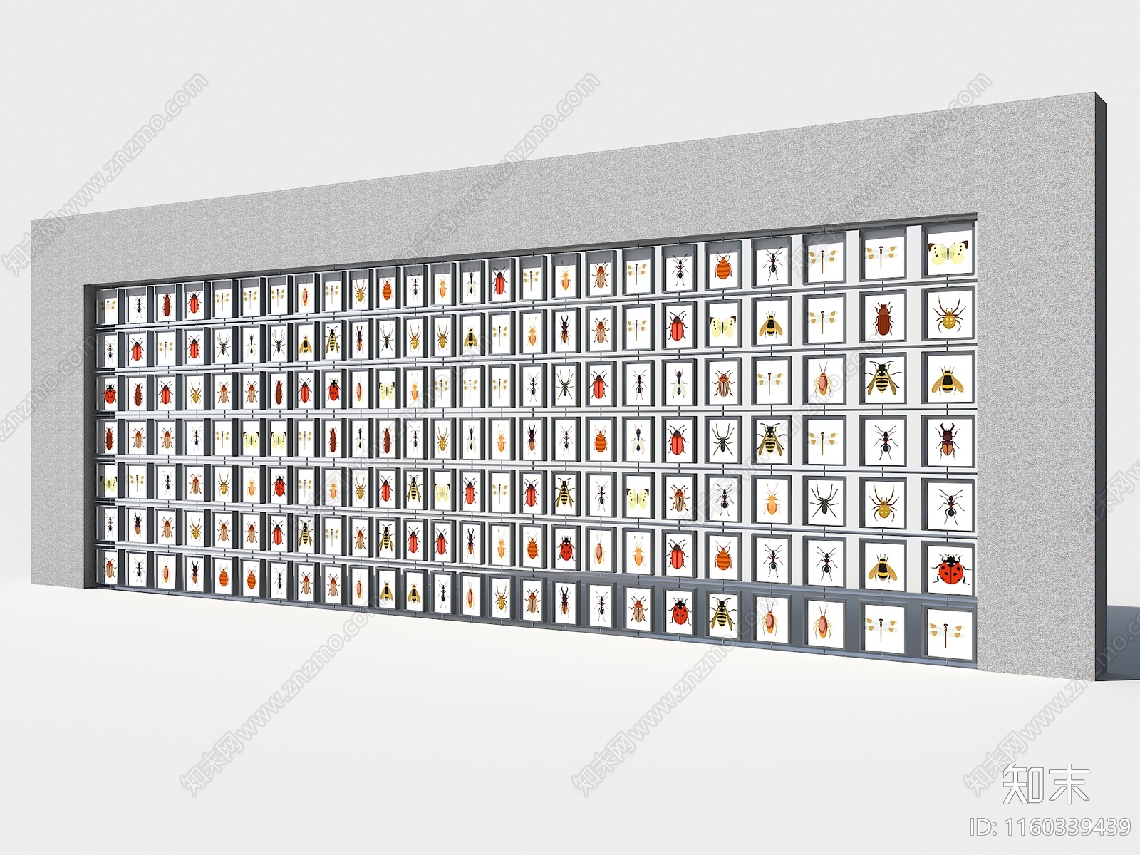 现代标本展示墙SU模型下载【ID:1160339439】
