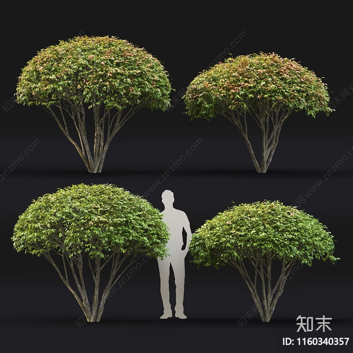 景观树3D模型下载【ID:1160340357】