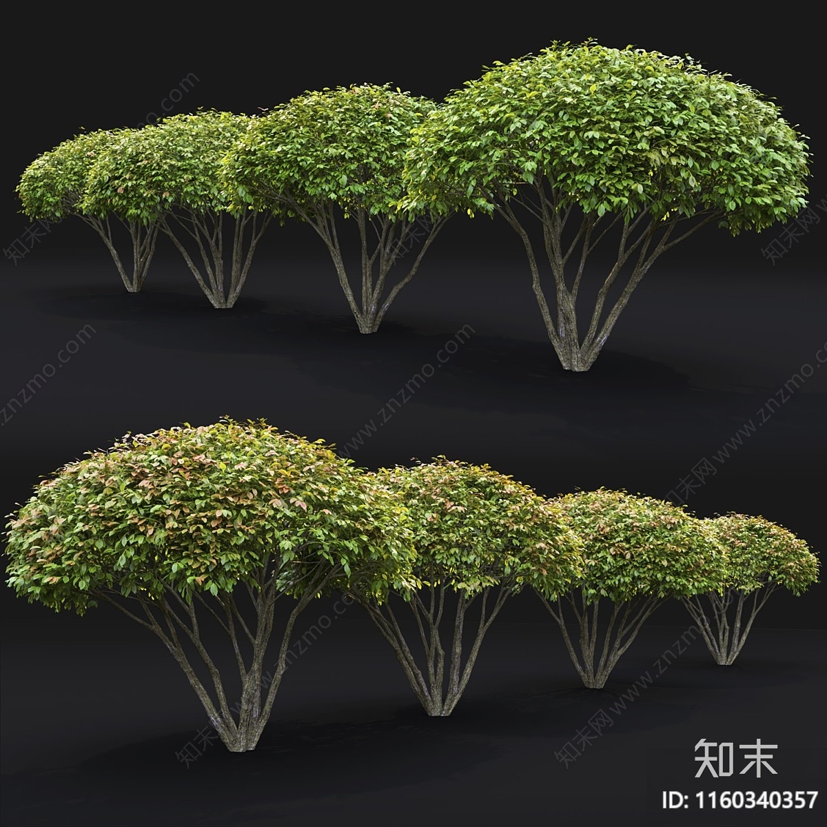 景观树3D模型下载【ID:1160340357】