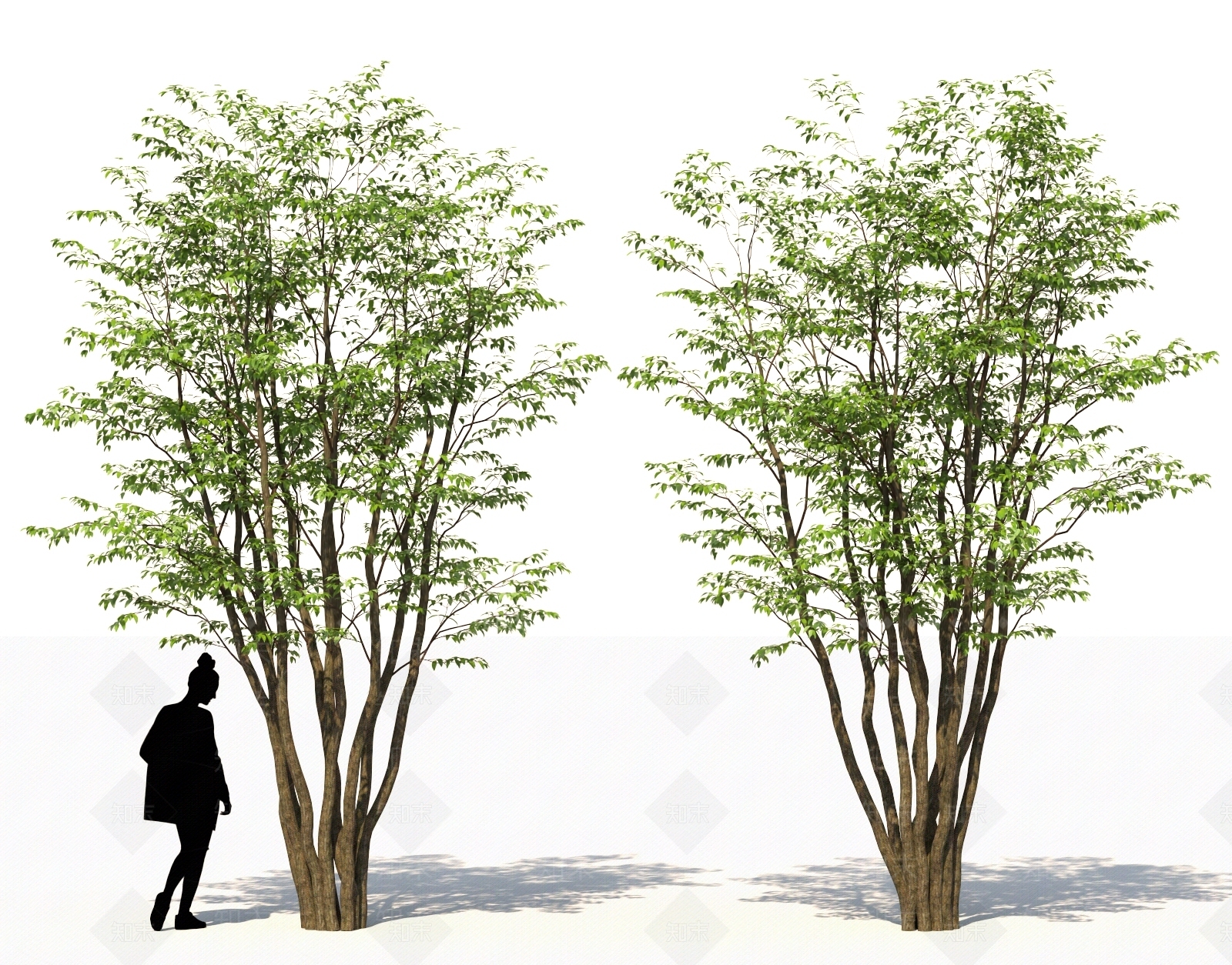 灌木3D模型下载【ID:1160345490】