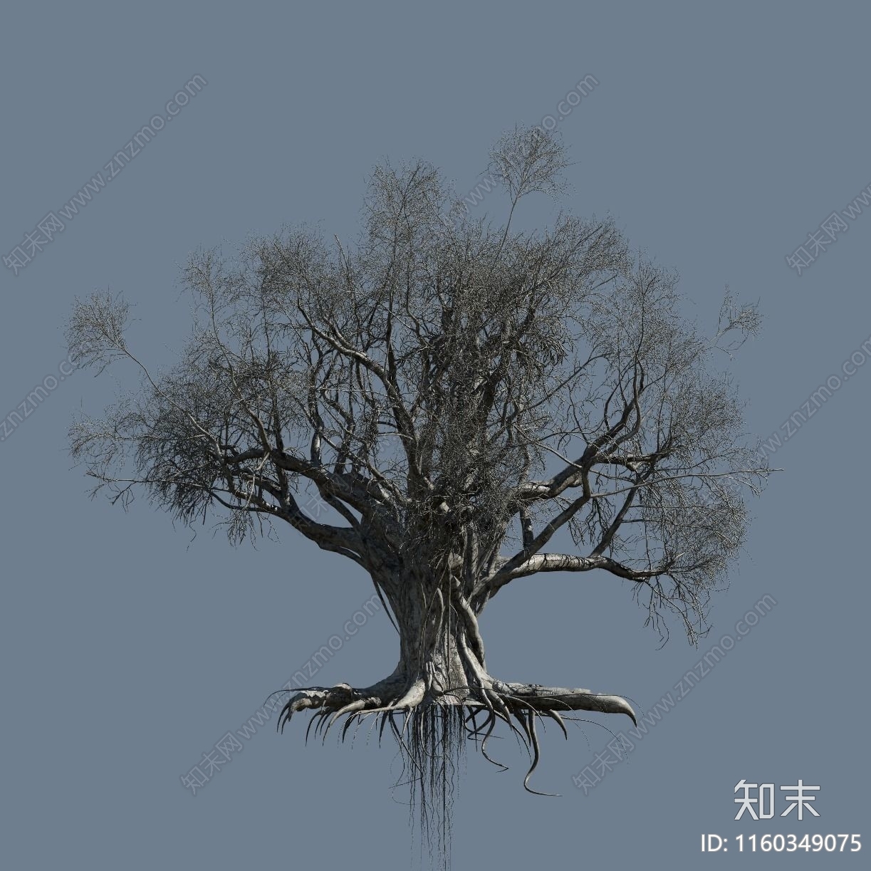 榕树3D模型下载【ID:1160349075】