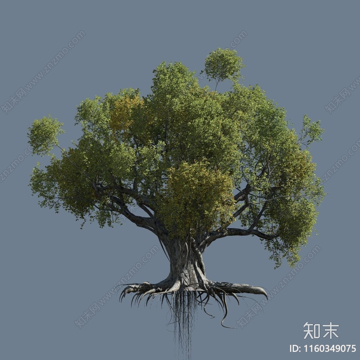 榕树3D模型下载【ID:1160349075】