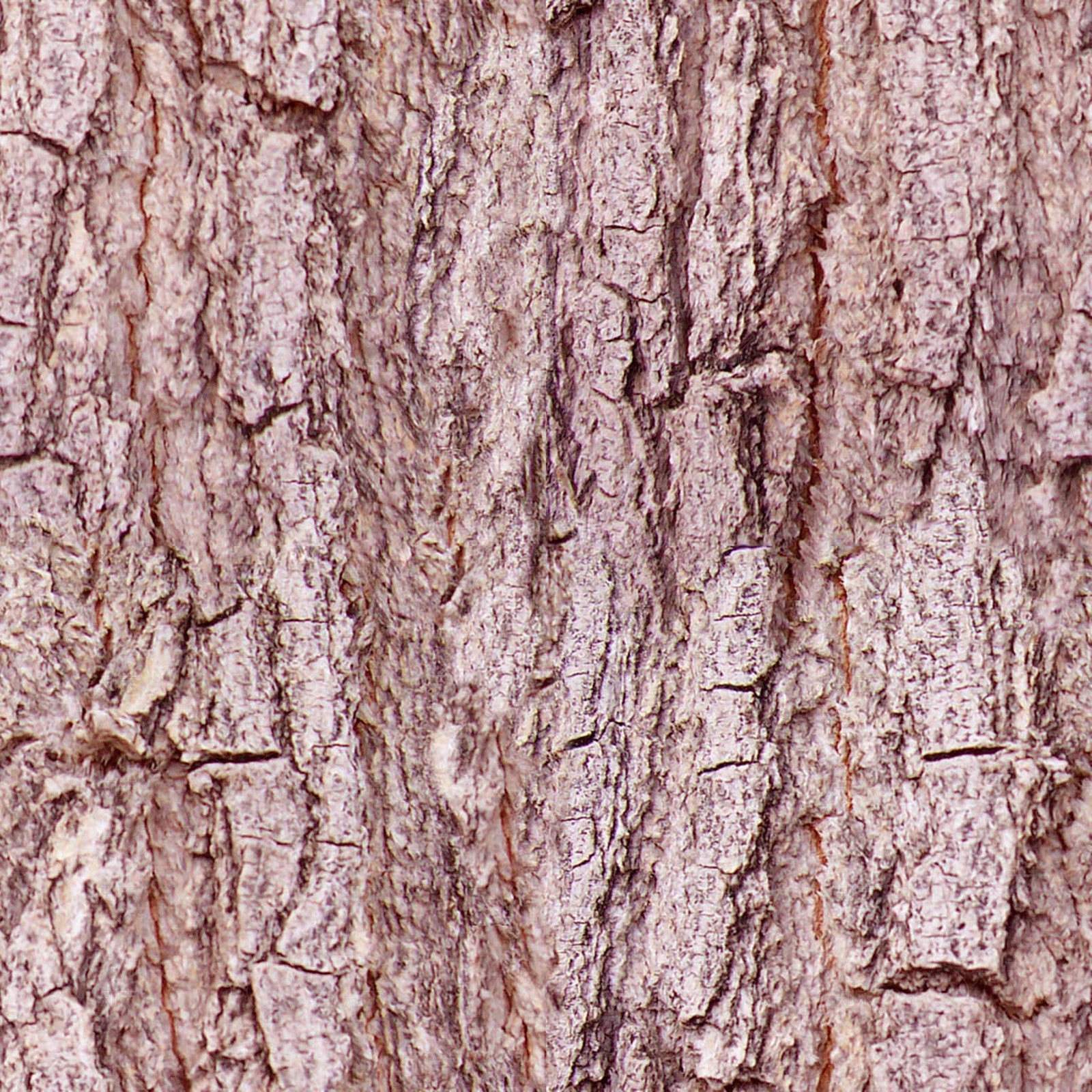 无缝开裂干枯树皮树干纹理贴图下载【ID:1160442008】