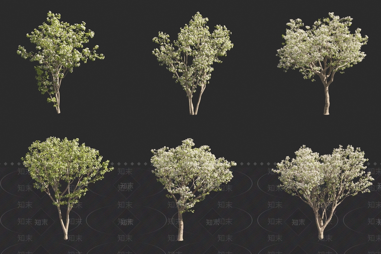 梨树3D模型下载【ID:1160470178】