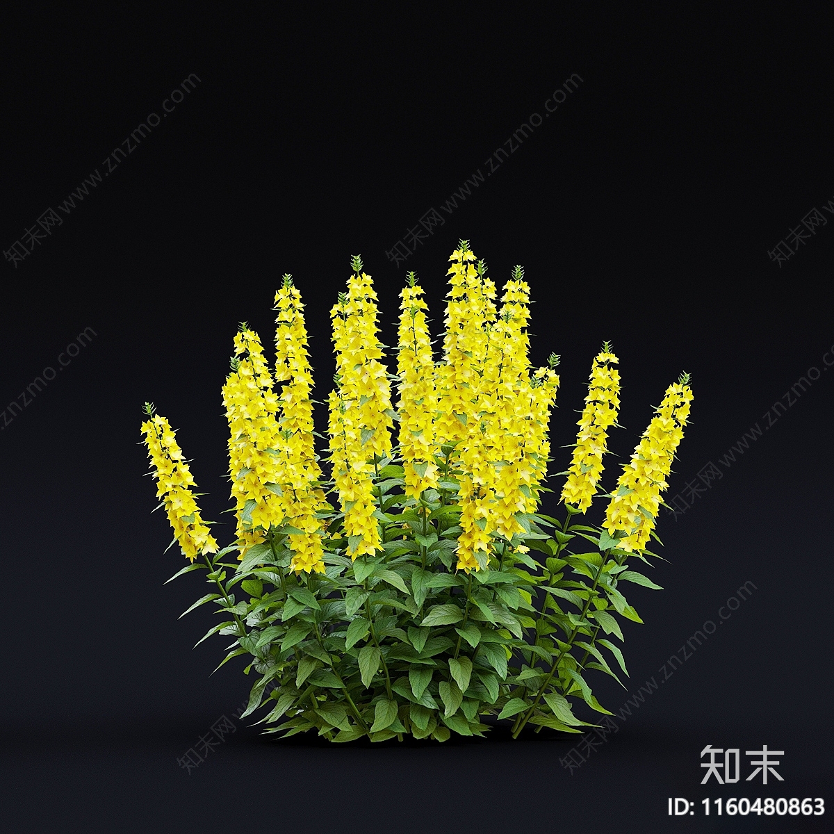 花3D模型下载【ID:1160480863】