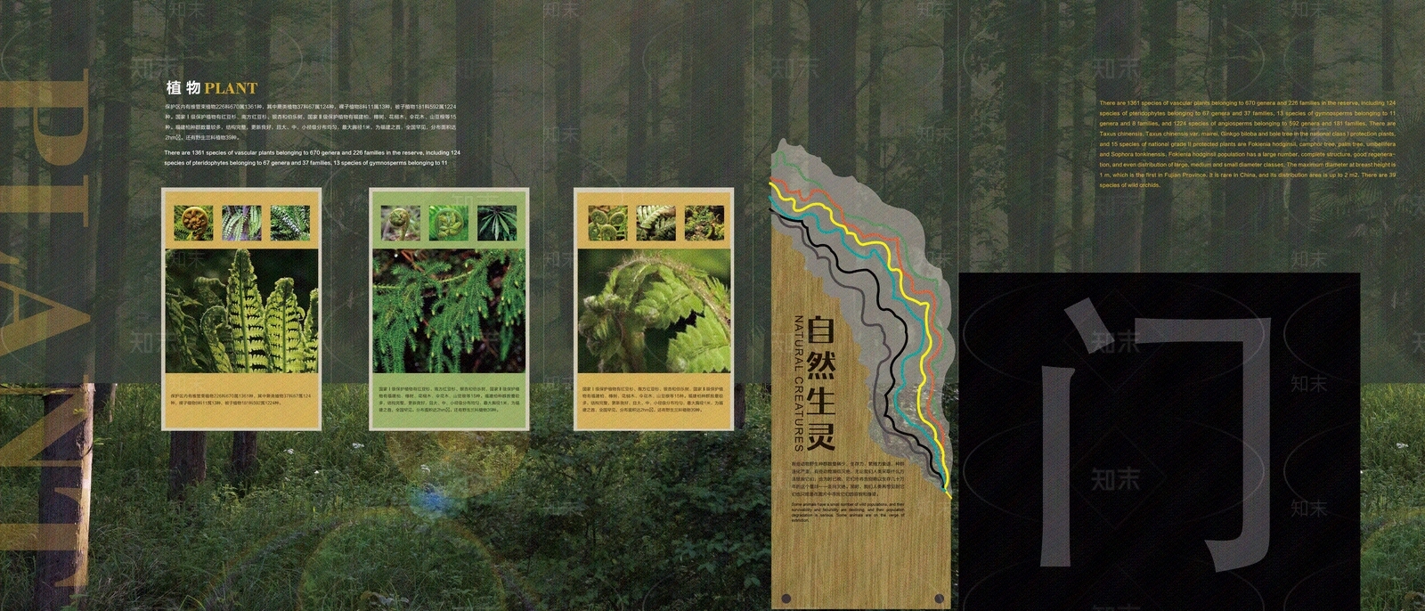 现代森林科普馆文化墙贴图下载【ID:1160482930】