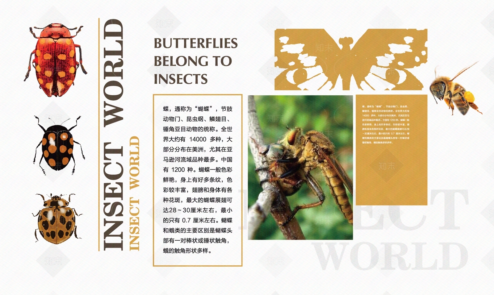 现代森林科普馆文化墙贴图下载【ID:1160482952】