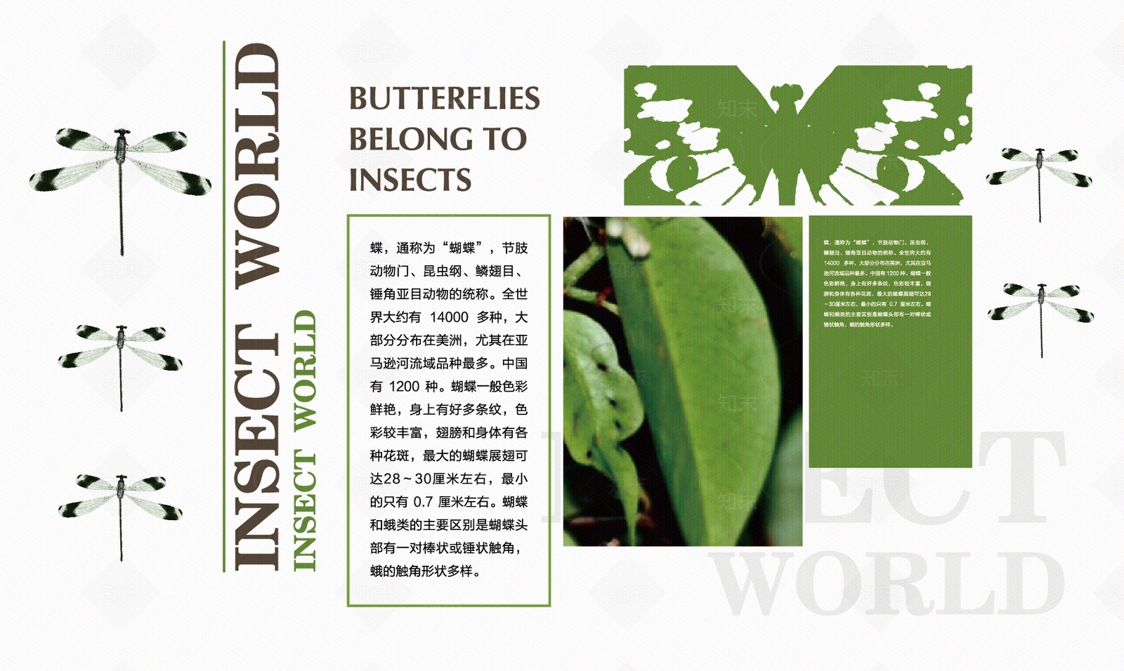 现代森林科普馆文化墙贴图下载【ID:1160483180】