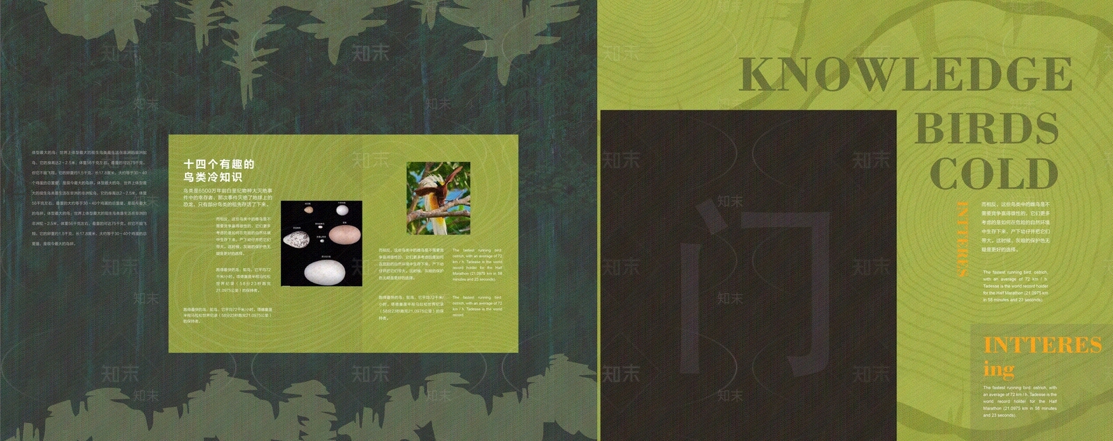 现代森林科普馆文化墙贴图下载【ID:1160483197】