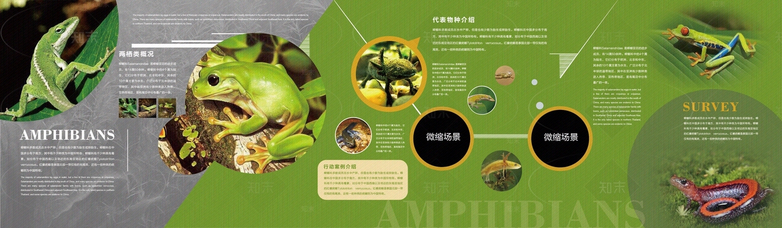 现代森林科普馆文化墙贴图下载【ID:1160483291】