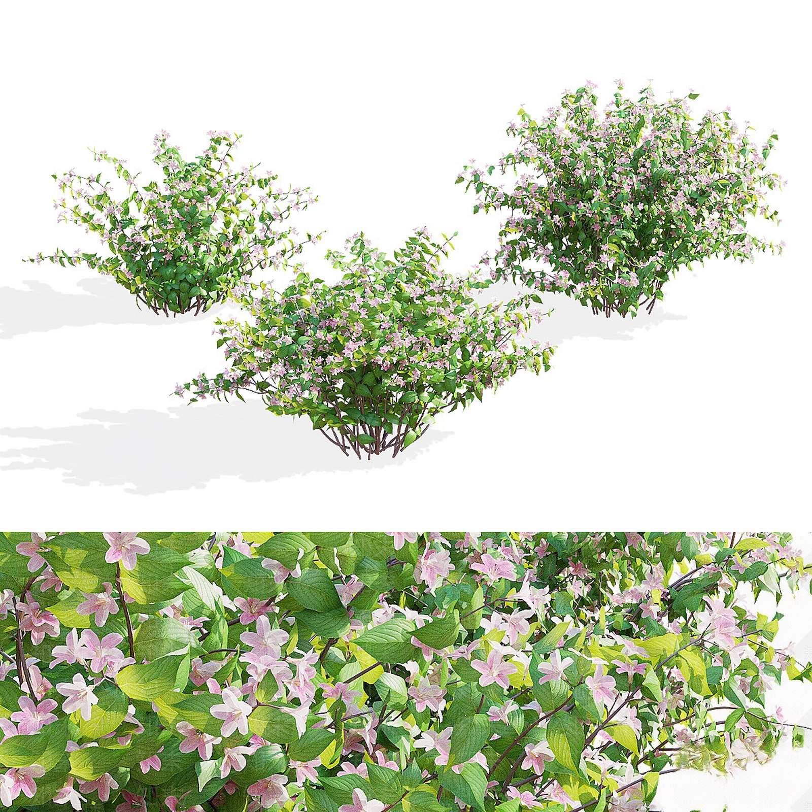 花草组合3D模型下载【ID:1160490279】