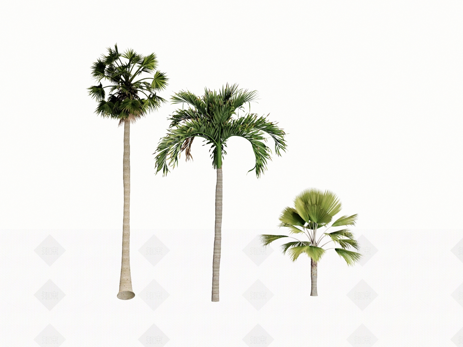 热带椰子树SU模型下载【ID:1160511034】
