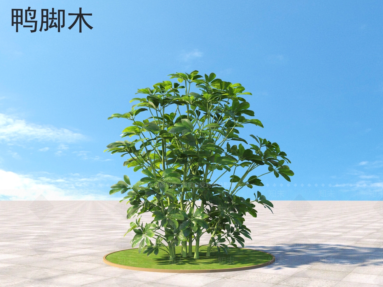灌木3D模型下载【ID:1160531128】
