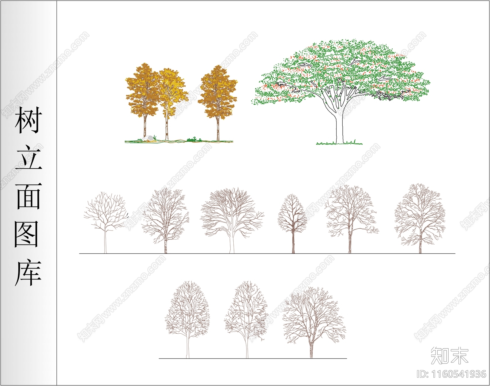 植物树立面图库施工图下载【ID:1160541936】