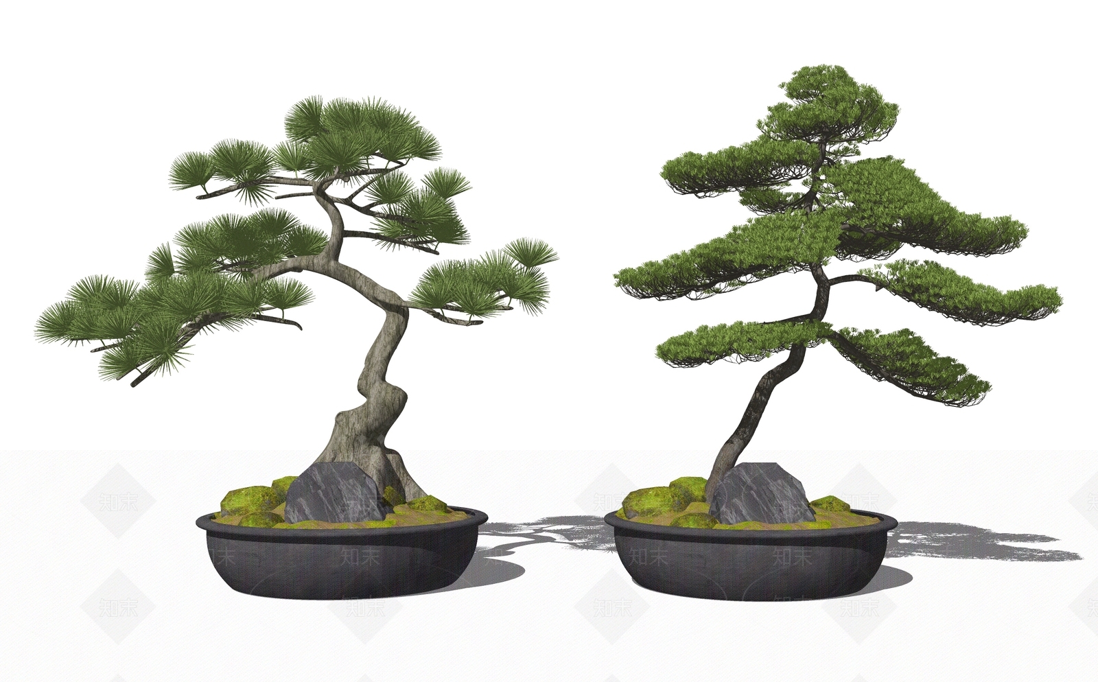 松树盆栽SU模型下载【ID:1160542681】