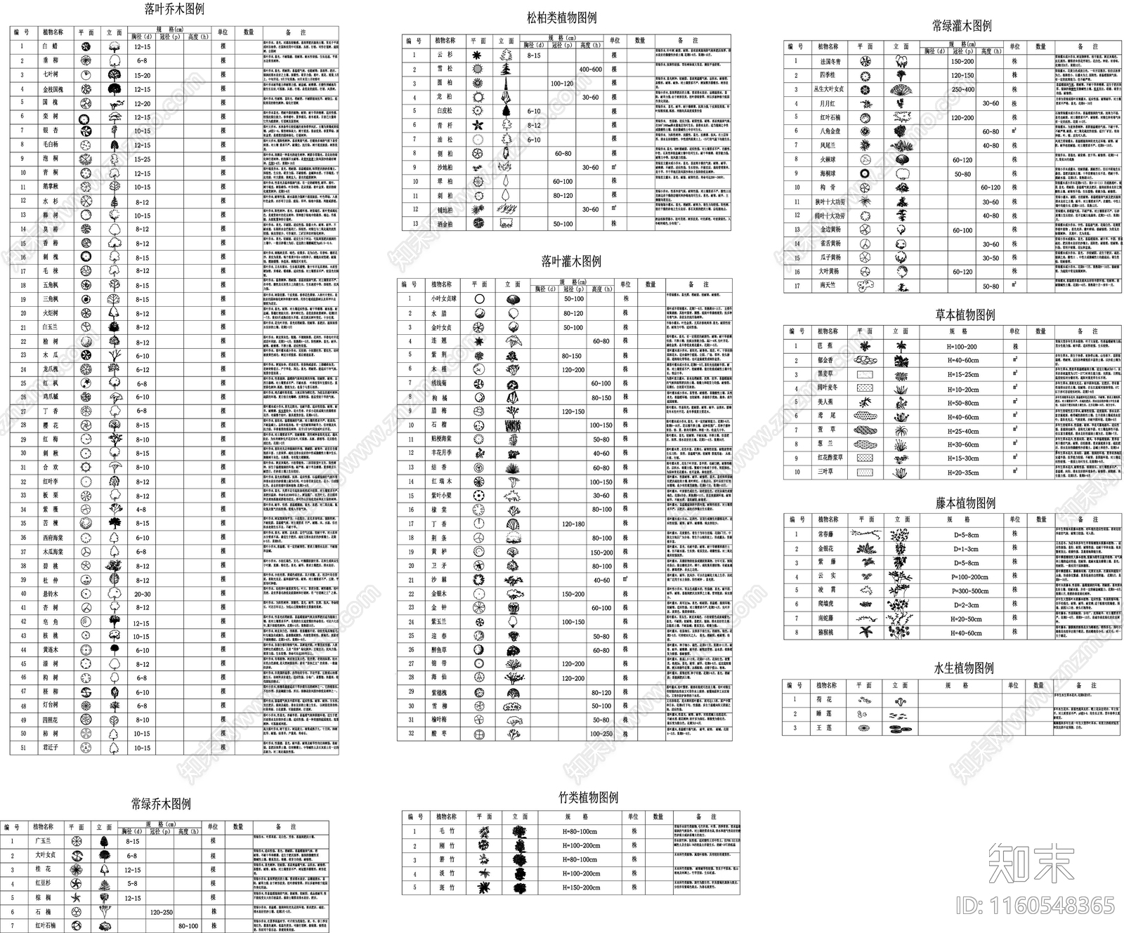 景观常见植物平面立面清单合集施工图下载【ID:1160548365】