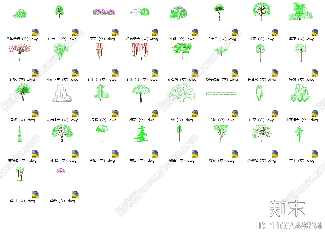 景观常见植物立面合集施工图下载【ID:1160549834】