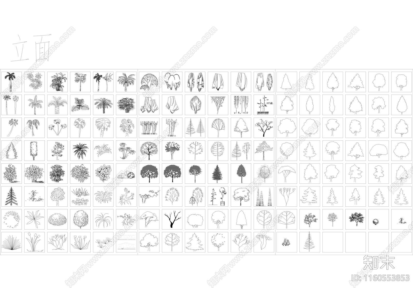 树木图库施工图下载【ID:1160553853】
