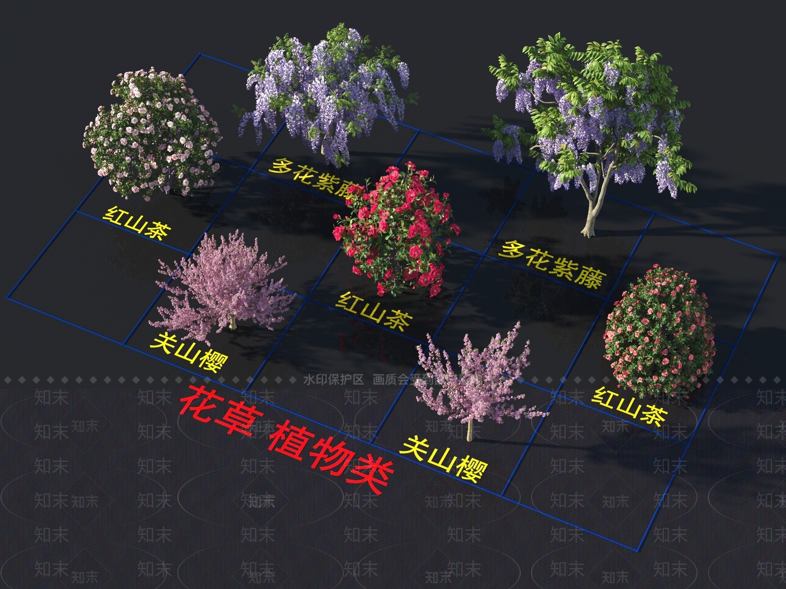 多花紫藤3D模型下载【ID:1160556750】