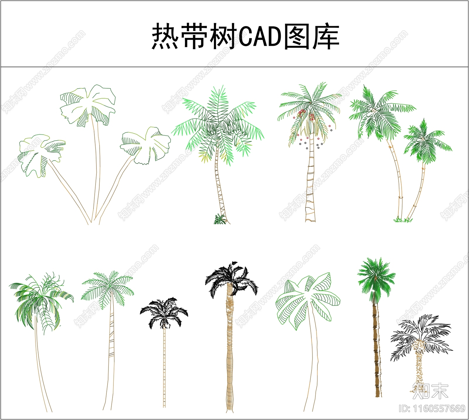 热带树图库施工图下载【ID:1160557669】