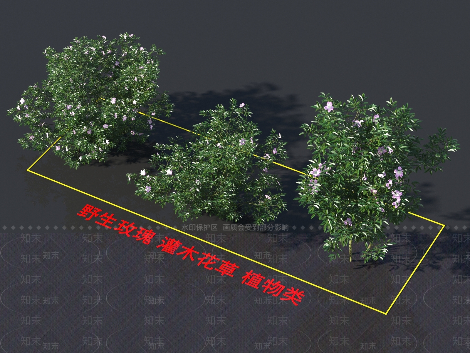 野生玫瑰3D模型下载【ID:1160560161】